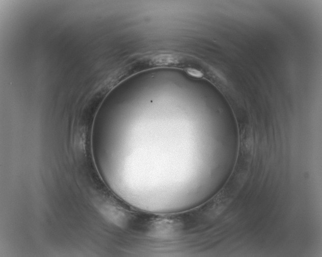 X0000079310315200611251745