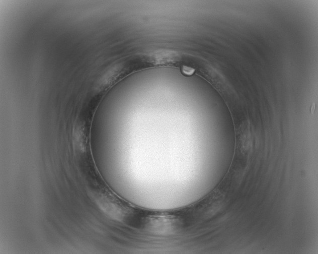 X0000079310316200611251745