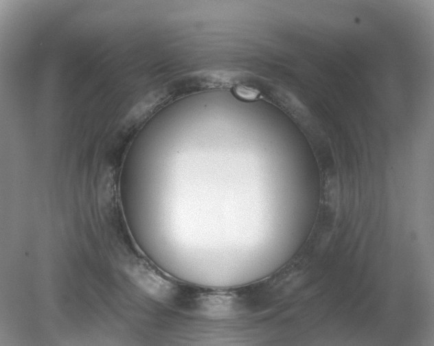 X0000079310318200611251745