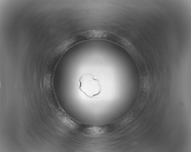 X0000079310326200611251745