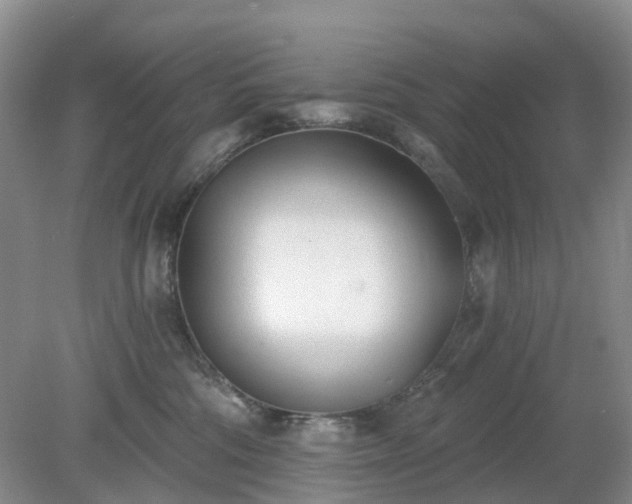 X0000079310330200611251745