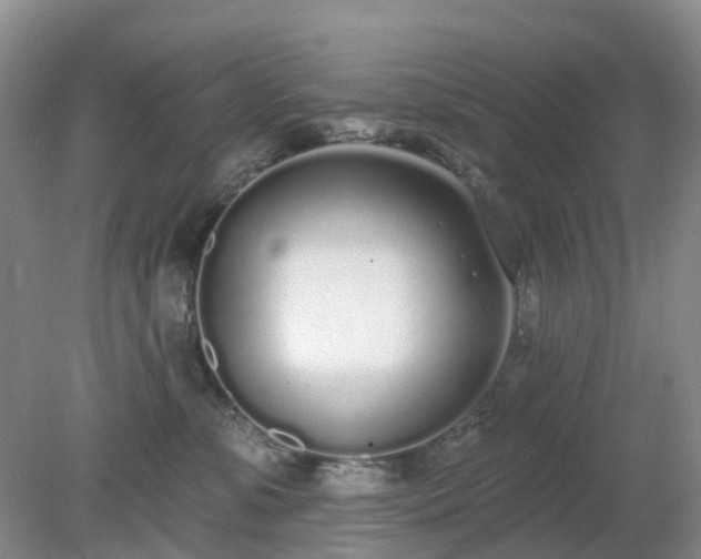 X0000079310331200611251745