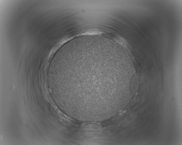 X0000079310337200611251744