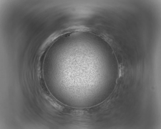 X0000079310339200611251744