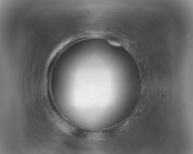 X0000079310342200611251744