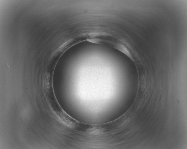 X0000079310356200611251745