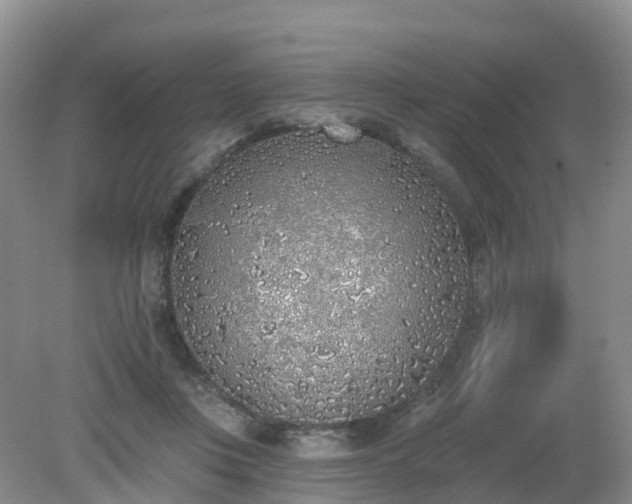 X0000079310359200611251745