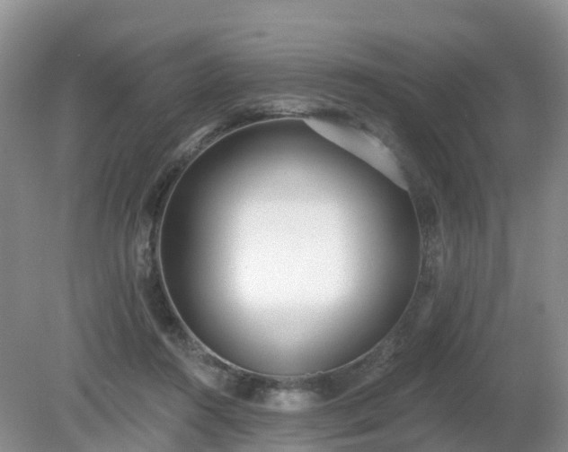 X0000079310360200611251745