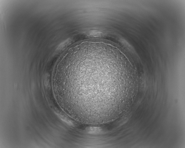 X0000079310361200611251745