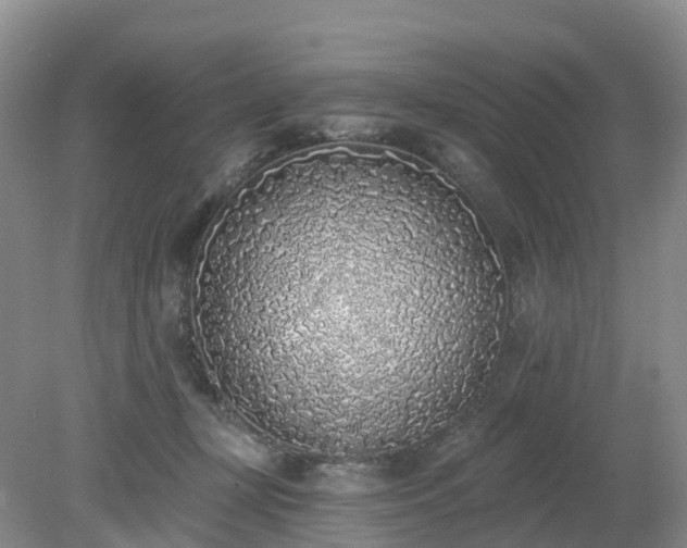 X0000079310367200611251745