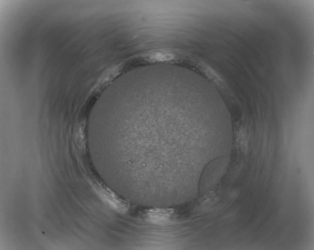 X0000079310373200611251745