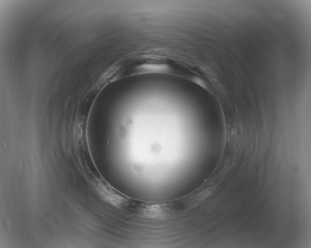 X0000079310382200611251745