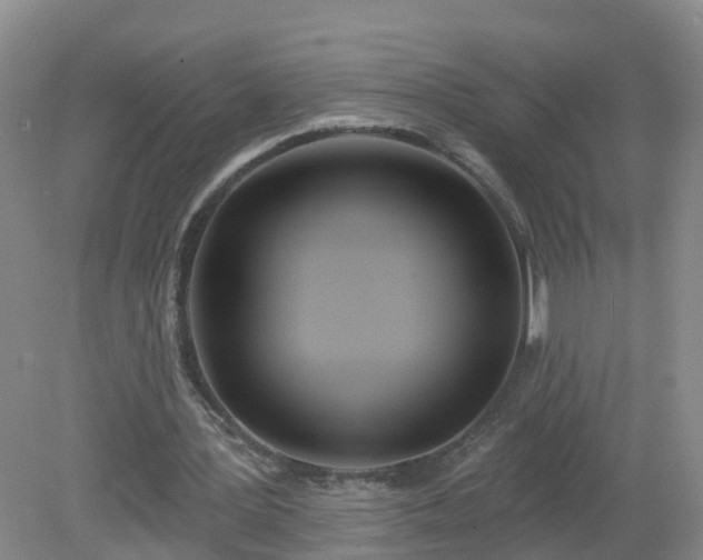 X0000079310387200611251744