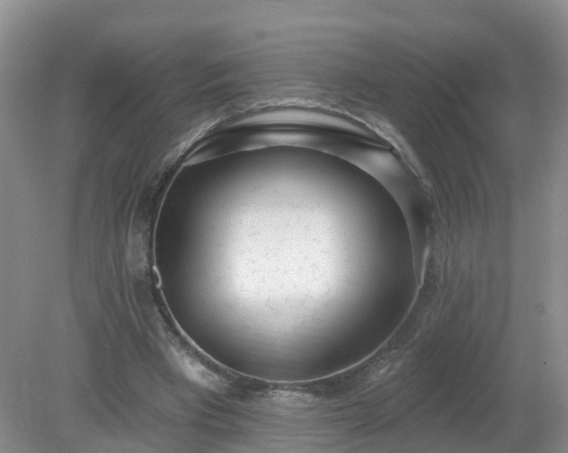 X0000079310393200611251744