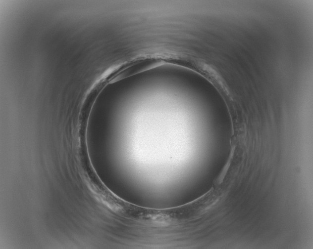 X0000079310395200611251744