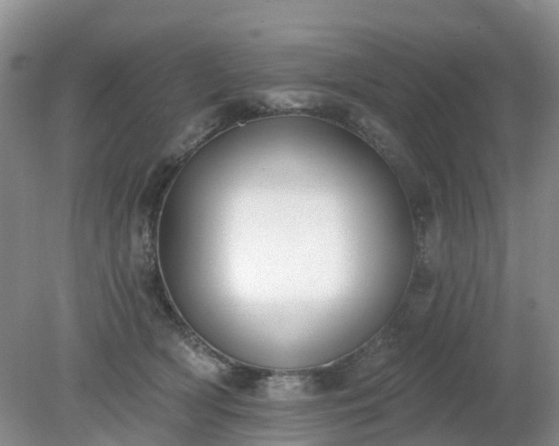X0000079310418200611251744