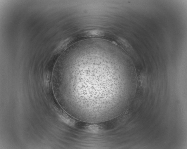 X0000079310423200611251744