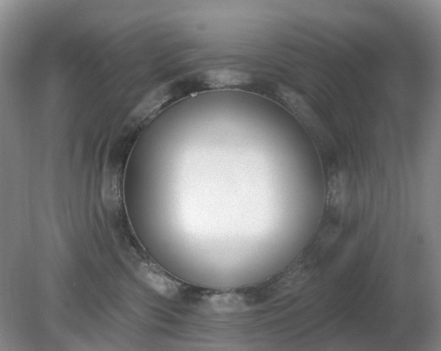 X0000079310426200611251744
