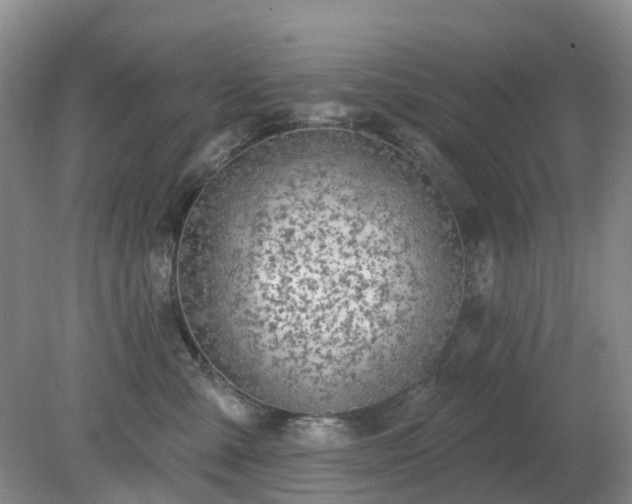 X0000079310427200611251744