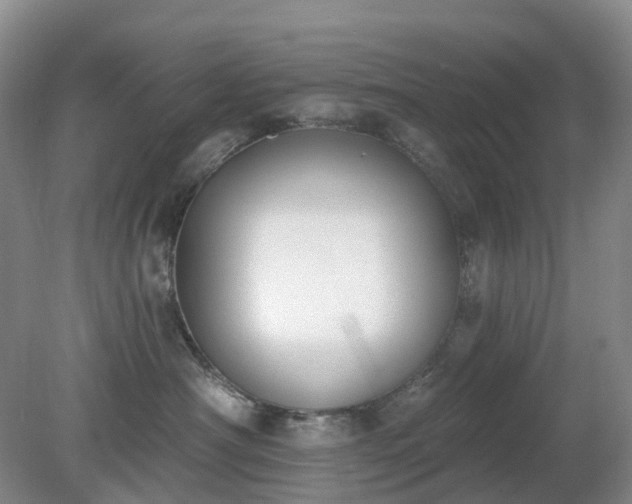 X0000079310430200611251743