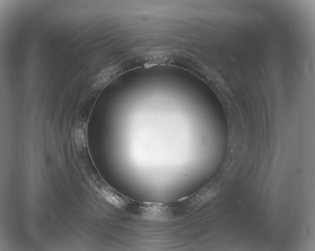 X0000079310432200611251743