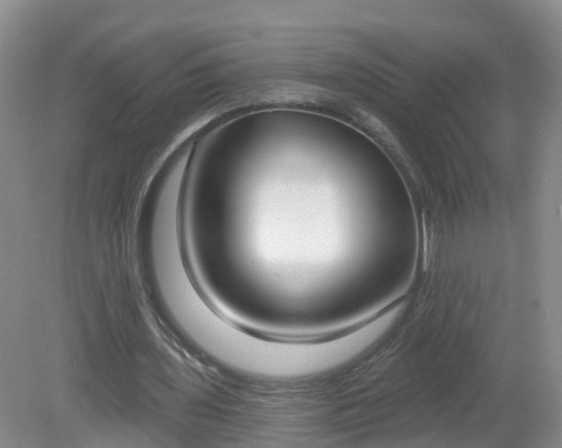 X0000079310435200611251743
