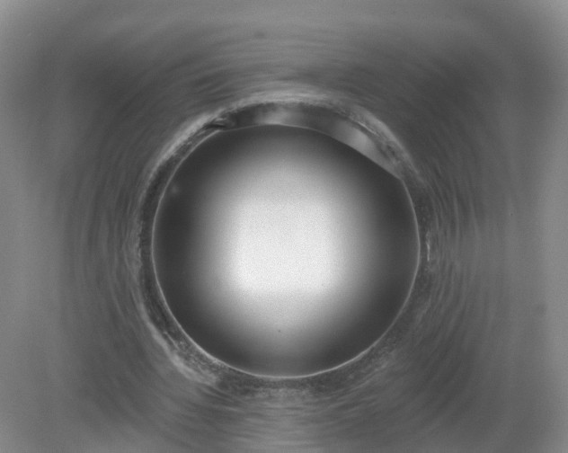 X0000079310436200611251743