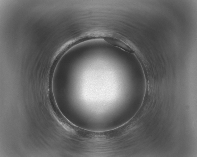 X0000079310438200611251743