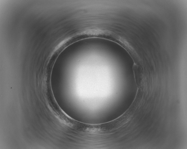 X0000079310440200611251743
