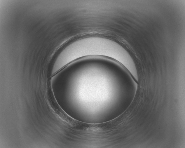 X0000079310444200611251743