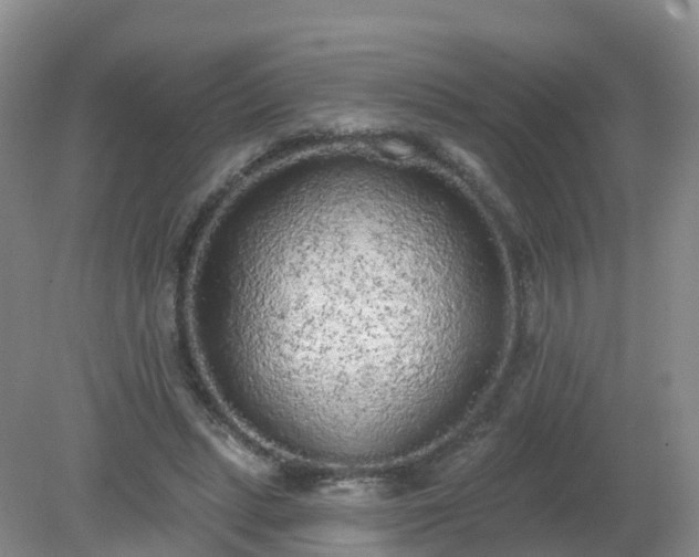 X0000079310447200611251743