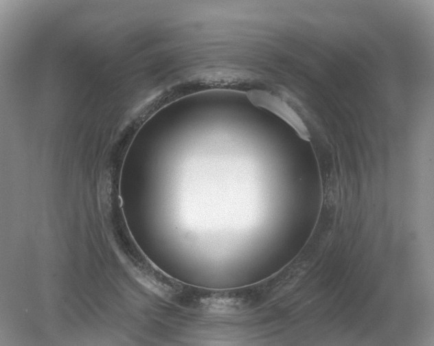 X0000079310448200611251743