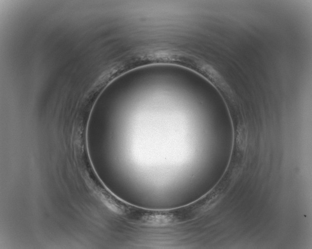 X0000079310449200611251743