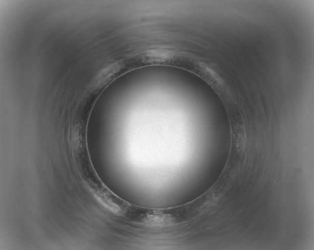 X0000079310455200611251743