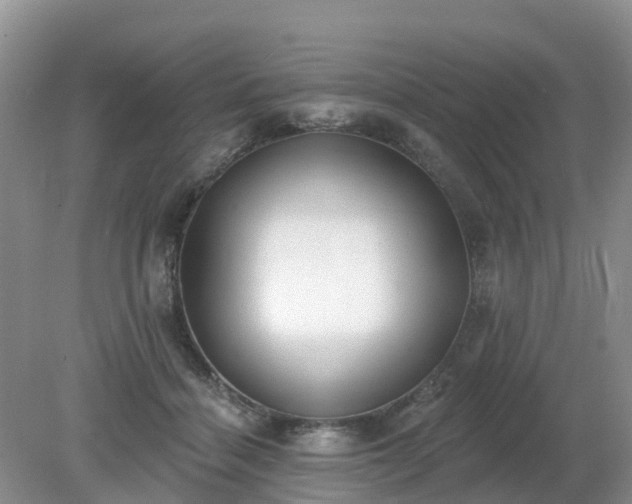 X0000079310460200611251743