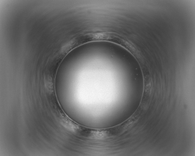 X0000079310469200611251743