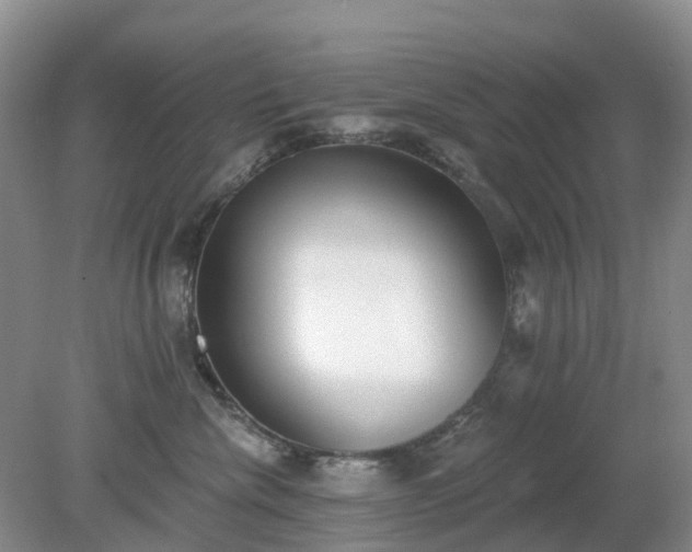 X0000079310476200611251743