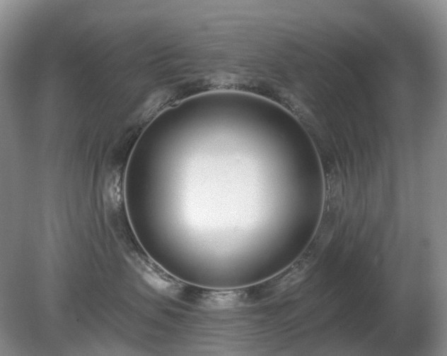 X0000079310479200611251743