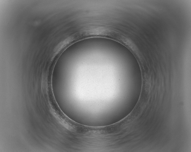 X0000079310482200611251743