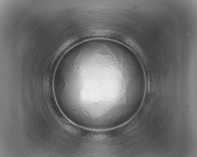 X0000079310483200611251743