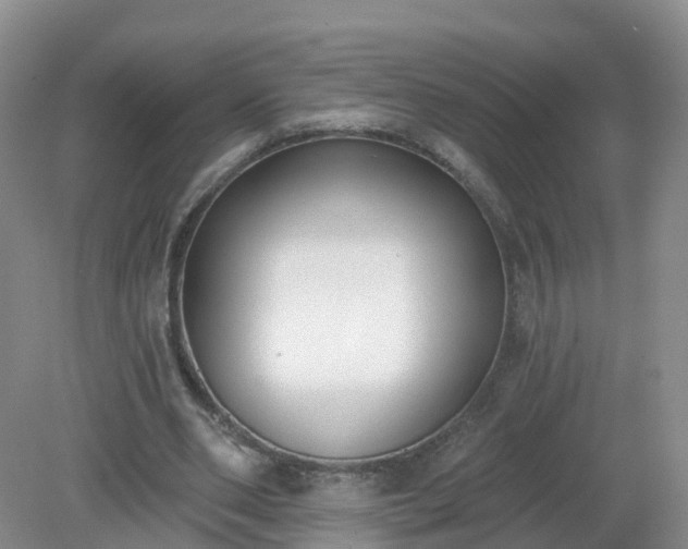 X0000079310486200611251743