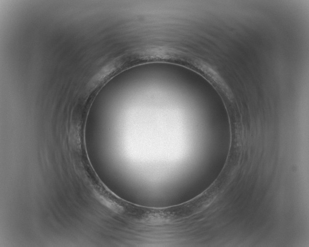 X0000079310489200611251742