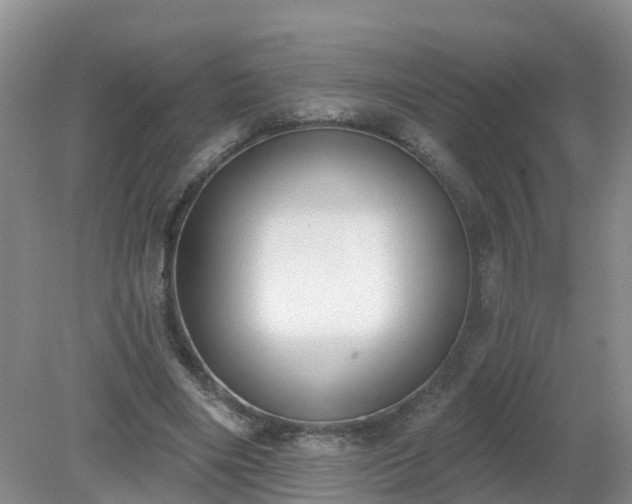 X0000079310490200611251742