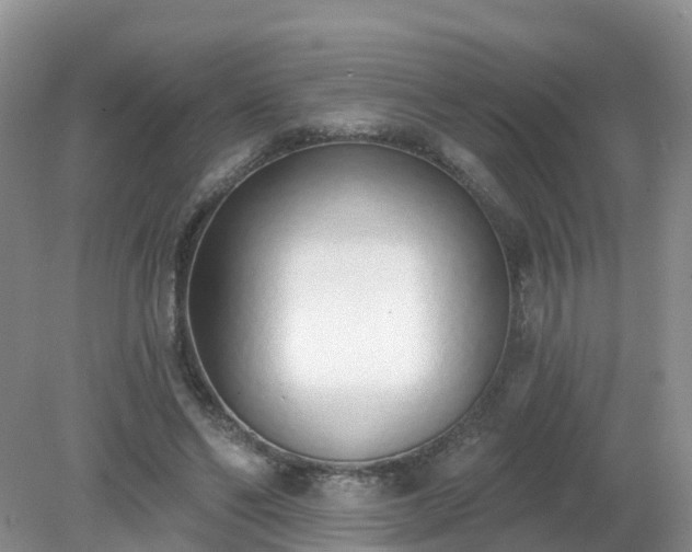 X0000079310494200611251742