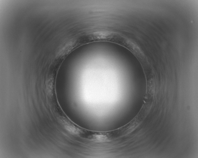 X0000079310509200611251742
