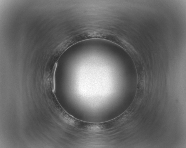 X0000079310513200611251742
