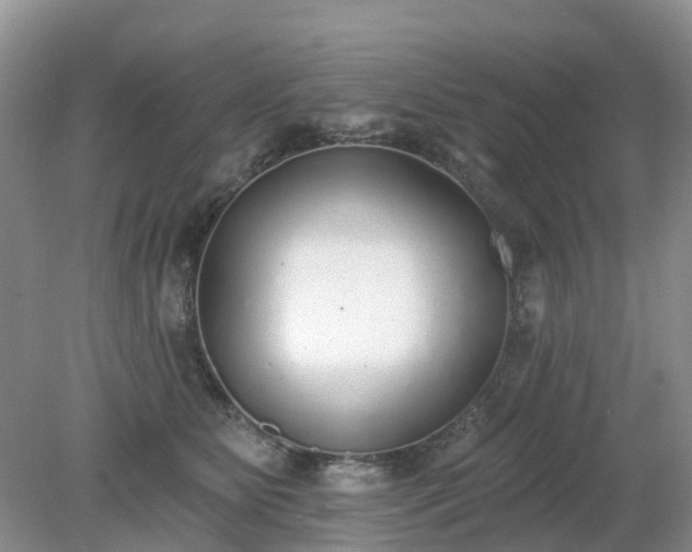 X0000079310515200611251742