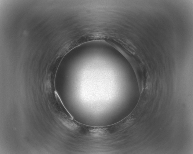 X0000079310516200611251742