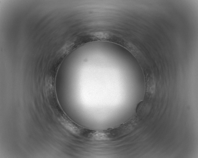X0000079310518200611251742