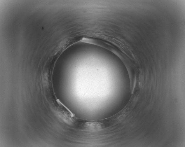 X0000079310520200611251742